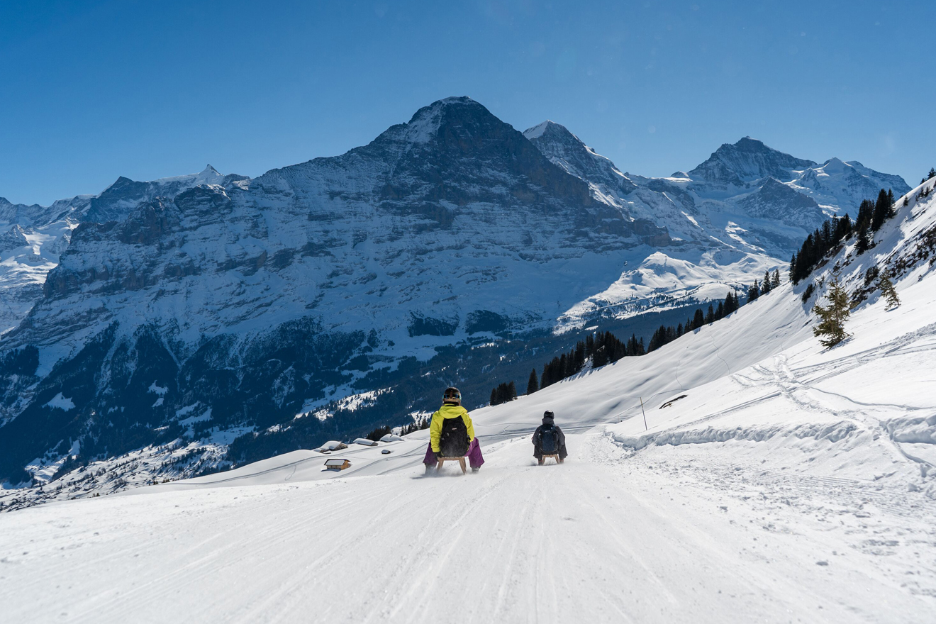 Zwei Menschen auf dem Schlitten rasen die Piste runter, im Hintergrund wunderschöne Berner Alpen