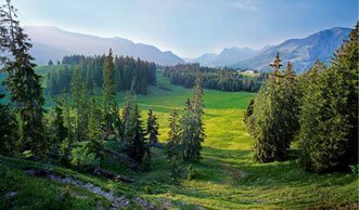 Die 10 schönsten Pärke der Schweiz im Überblick