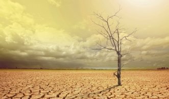 Eine halbe Million Tote durch Klimawandel bis 2050
