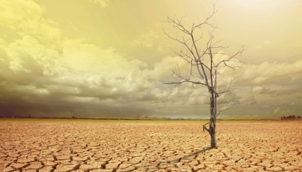 Klimawandel Folgen: 500.000 Tote aufgrund Lebensmittelmangel