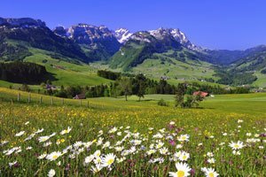 Natürliche Ressourcen: Die Schweiz hat ihren Anteil aufgebraucht
