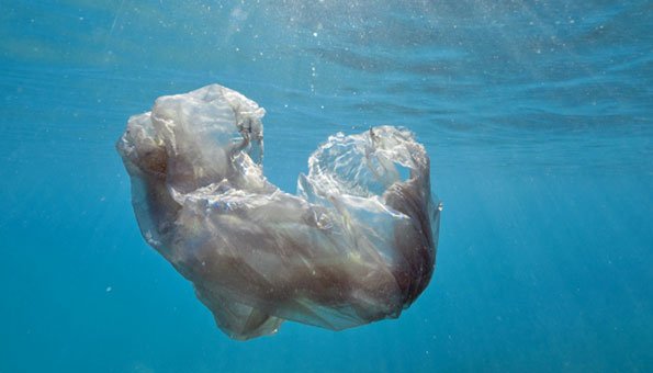 Seabin: Ein schwimmender Abfallkübel reinigt das Meer vom Dreck