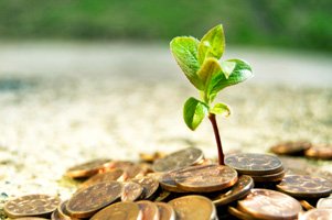 Nachhaltige Investments: Anleger investieren wegen Rendite