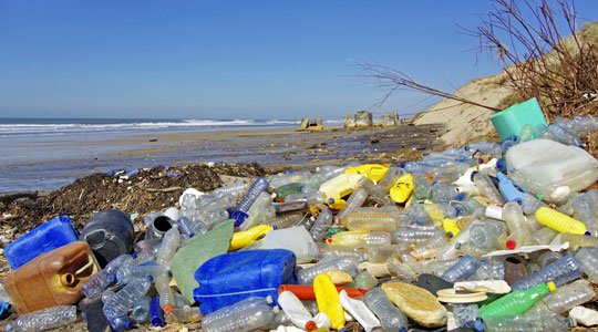Plastik im Meer: Europäische Ozeane sind komplett verschmutzt