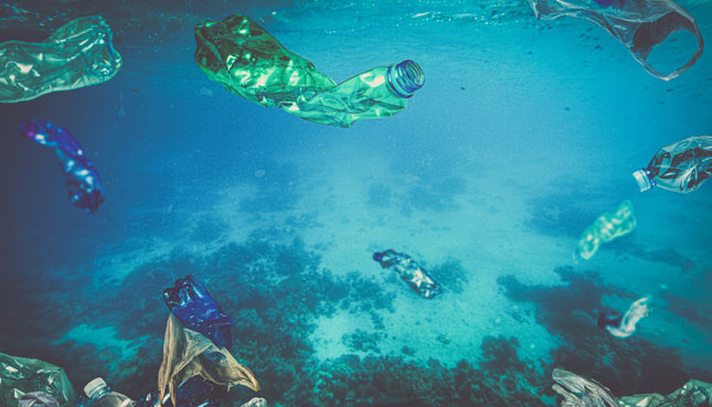 Plastikflaschen schwimmen im Meer
