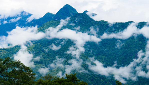 Sikkim ist der erste Biostaat der Welt