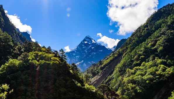 Sikkim ist der erste Biostaat der Welt