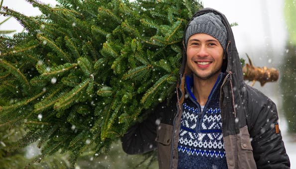 Weihnachtsbaum entsorgen: Wie Sie den Christbaum entsorgen