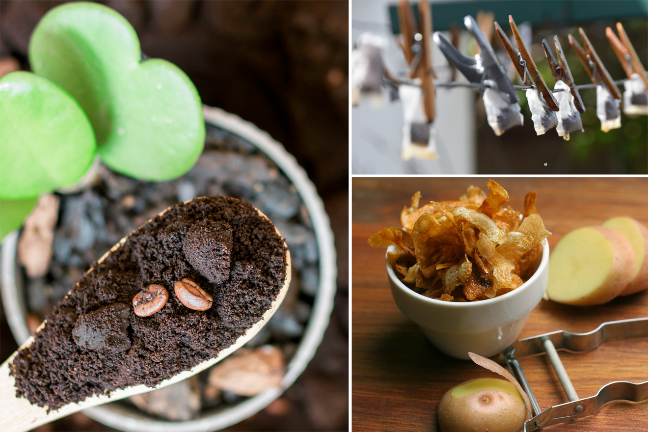 Collage: Links ein Löffel voller Kaffeesatz über einem Pflanzentopf, rechts oben Teebeutel an der Wäscheleine, rechts unten eine Schüssel voller Kartoffelschalenchips