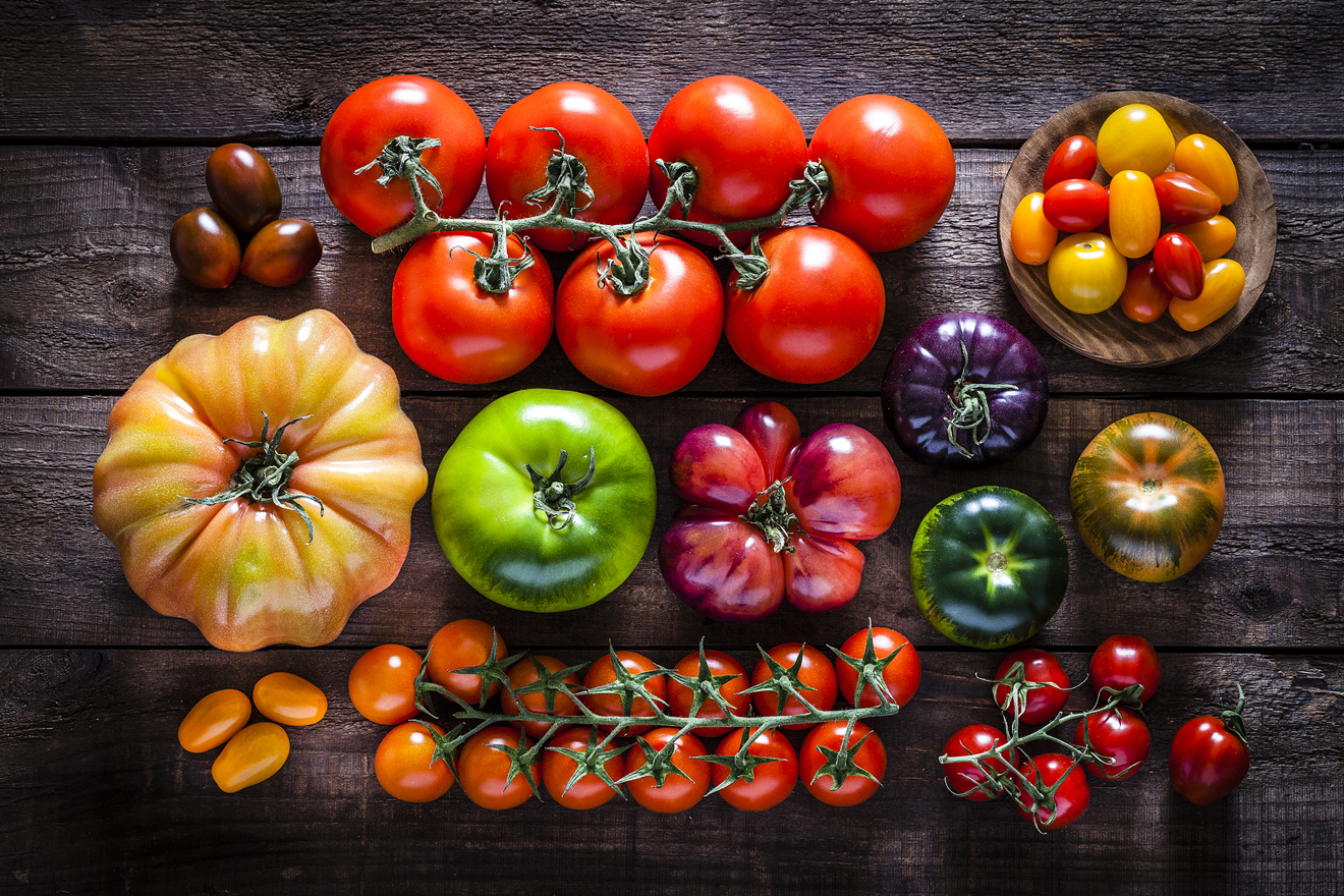 Mehrere Tomatenarten in allen Farben und Formen liegen nebeneinander